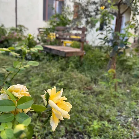 Ardjon House * Berat