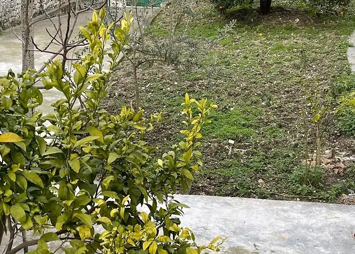 Ardjon House * Berat