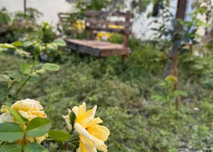 Ardjon House * Berat